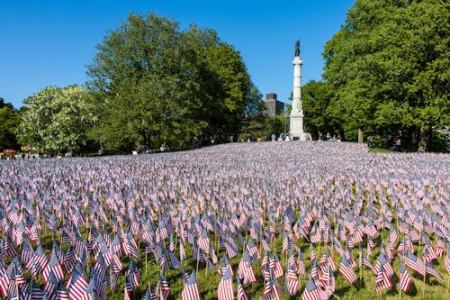 Large Number of American Flags in Front of the Soldiers and Sailors Monument in Boston Common