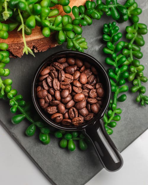 Roasted and Green Coffee Beans
