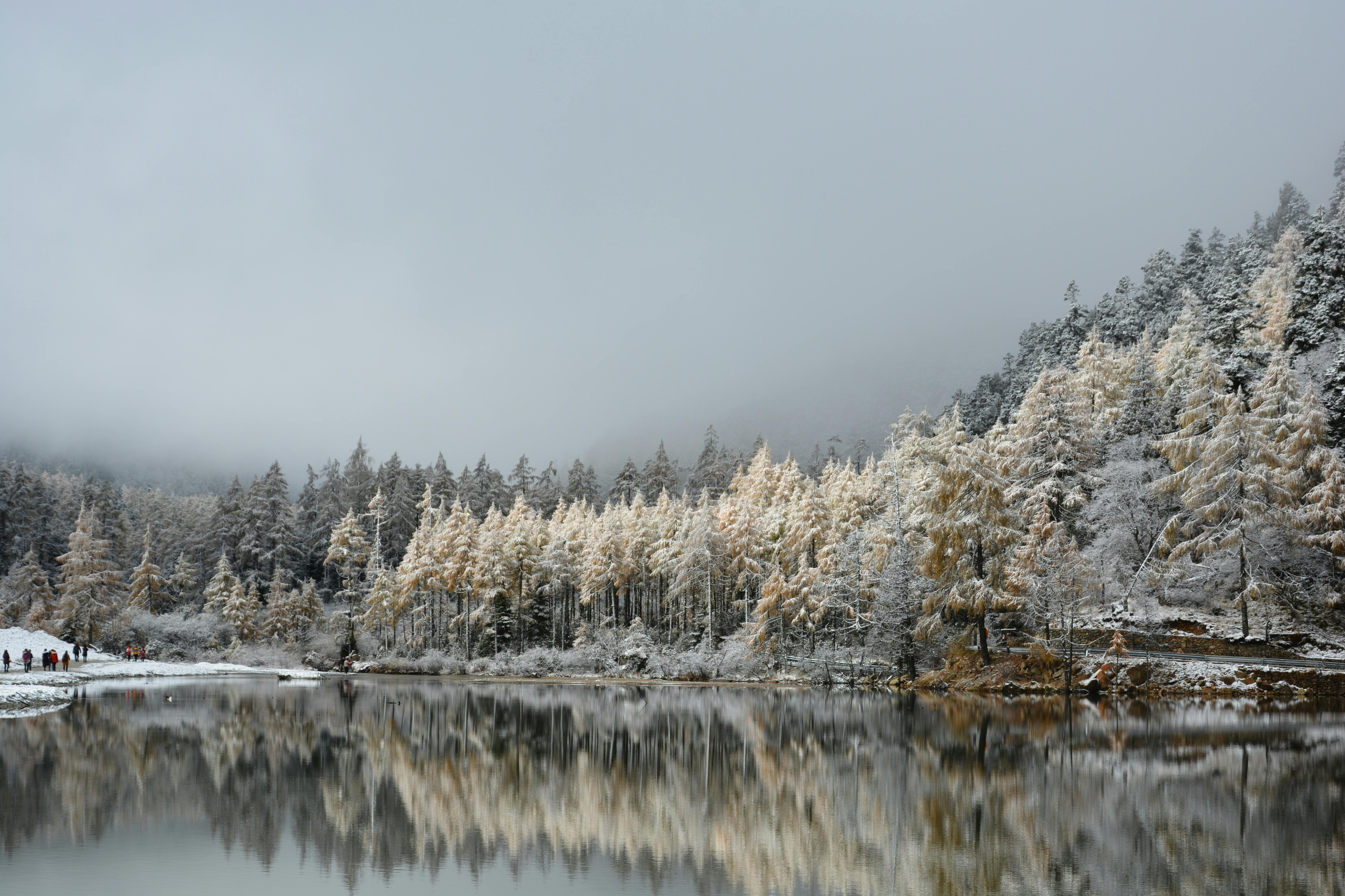 Free stock photo of beauty in nature, mirror lake
