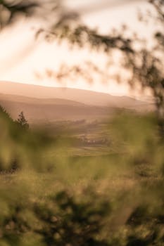 Soft focus landscape of hills at sunrise through branches, creating a peaceful rural scene.