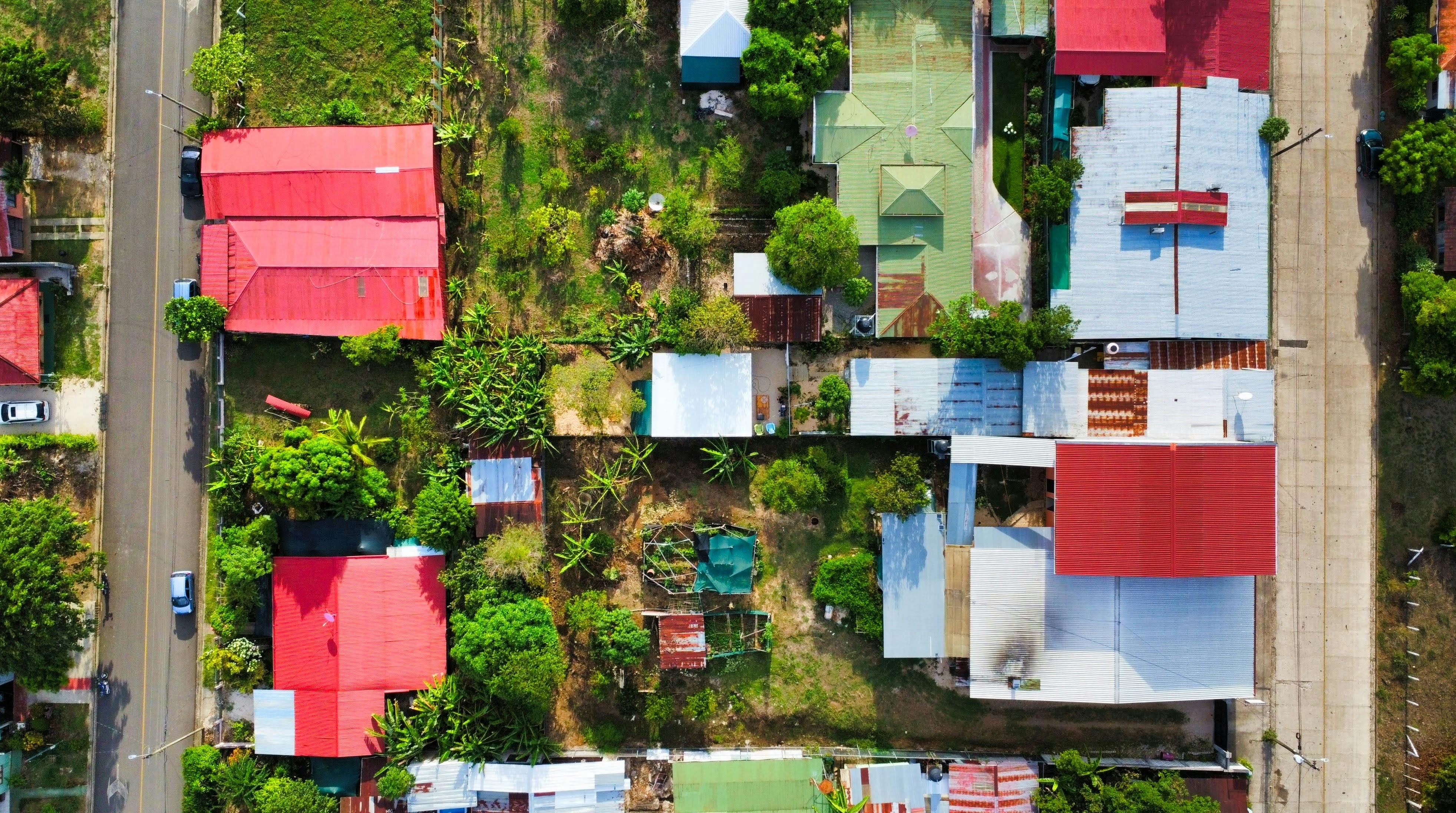 Local Communities Lead Climate Action on Earth Day, Driving Global Impact