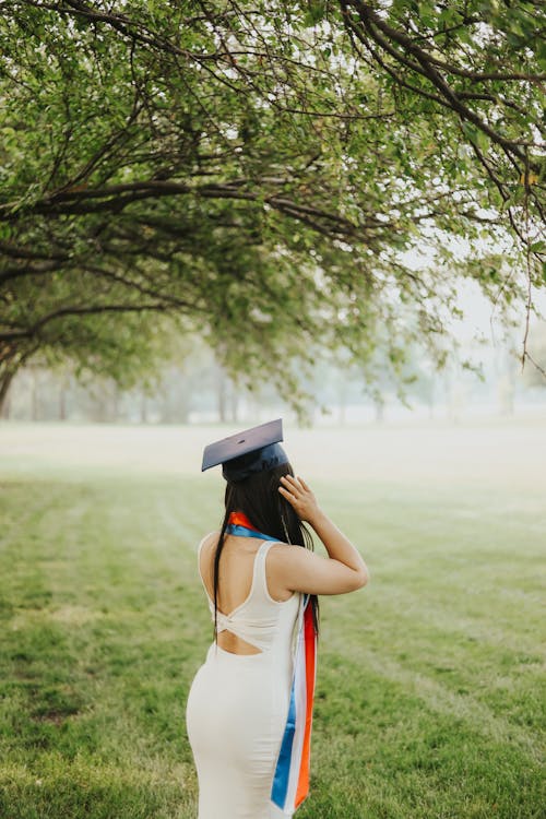 Fotos de stock gratuitas de árbol, de espaldas, de pie