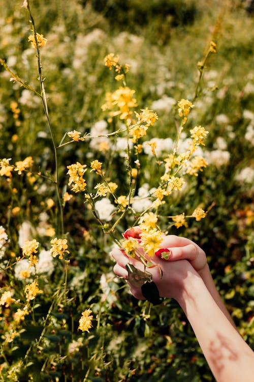 Couple Holding Hands over Meadow Flowers