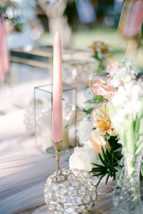 Free stock photo of 2023, aromantic, beautiful flower Stock Photo