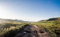 一条泥泞的小路穿过郁郁葱葱的绿色田野，在湛蓝的天空下，构成了一幅宁静的乡村景象