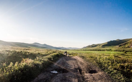 一条泥泞的小路穿过郁郁葱葱的绿色田野，在湛蓝的天空下，构成了一幅宁静的乡村景象