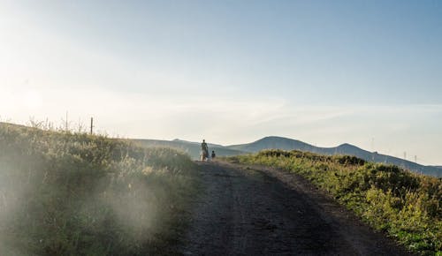 Person Riding Horse on Dirt Road