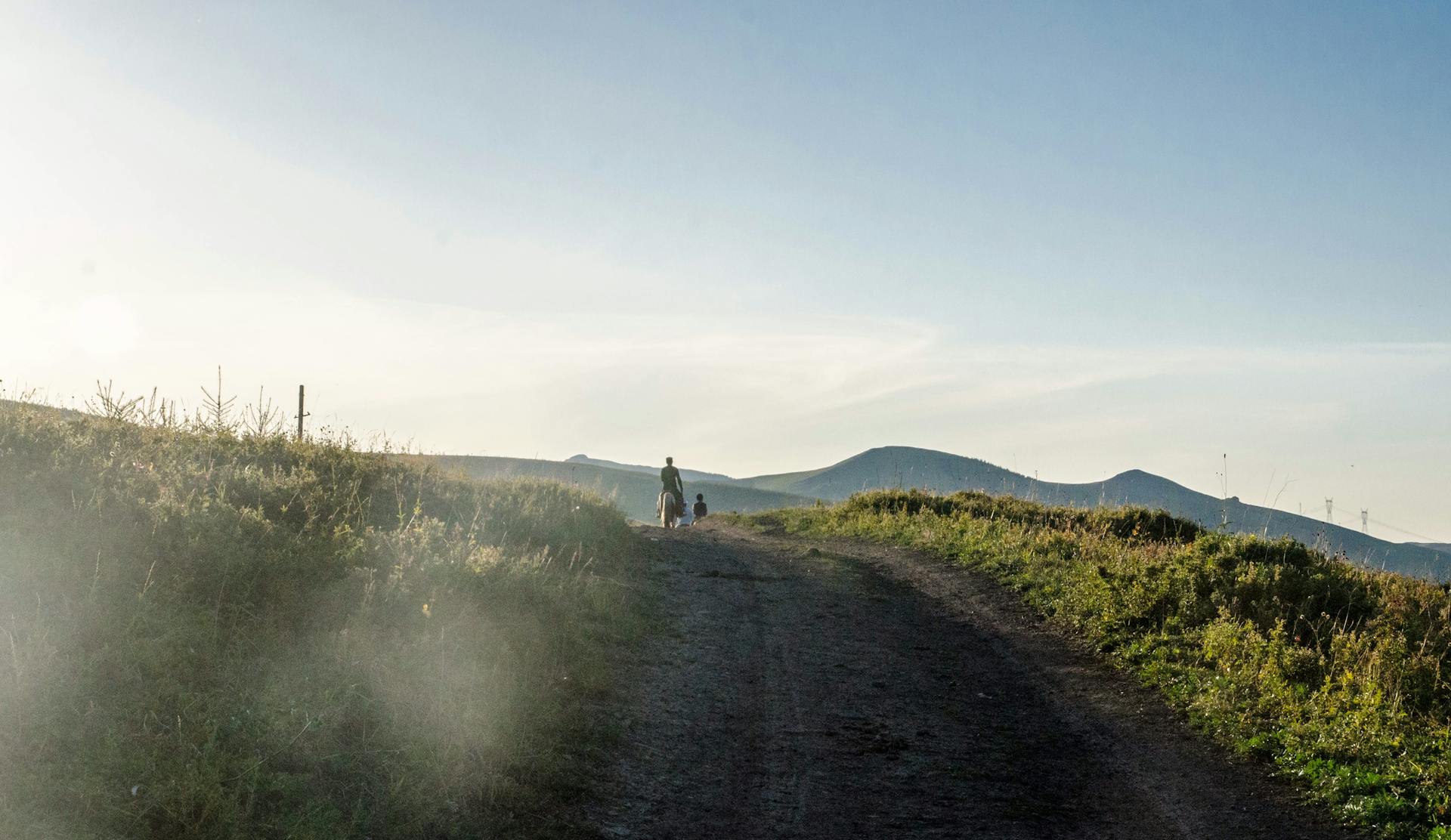 Person Riding Horse on Dirt Road