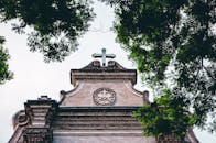 从低角度拍摄，历史悠久的教堂立面被绿树环绕的十字架所框定