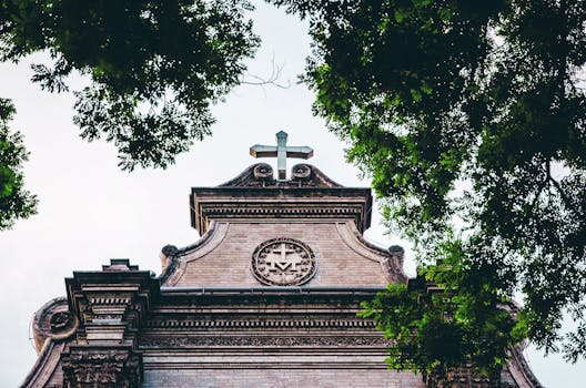 从低角度拍摄，历史悠久的教堂立面被绿树环绕的十字架所框定