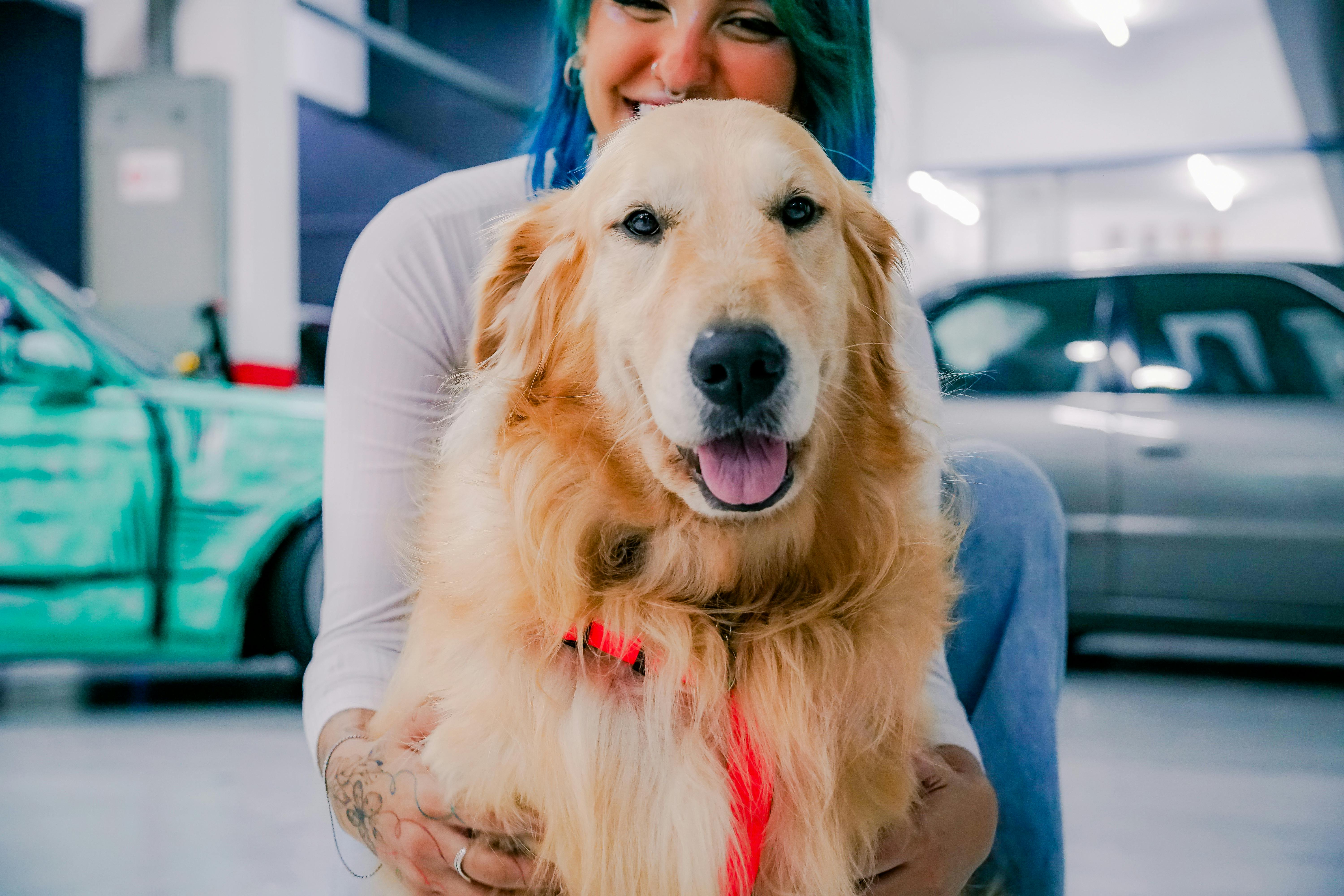 Pet Ownership Now Costs Up To $60,000—How Insurance And Telehealth Are Reshaping Vet Care — Photo by Caio Renato de Campos on