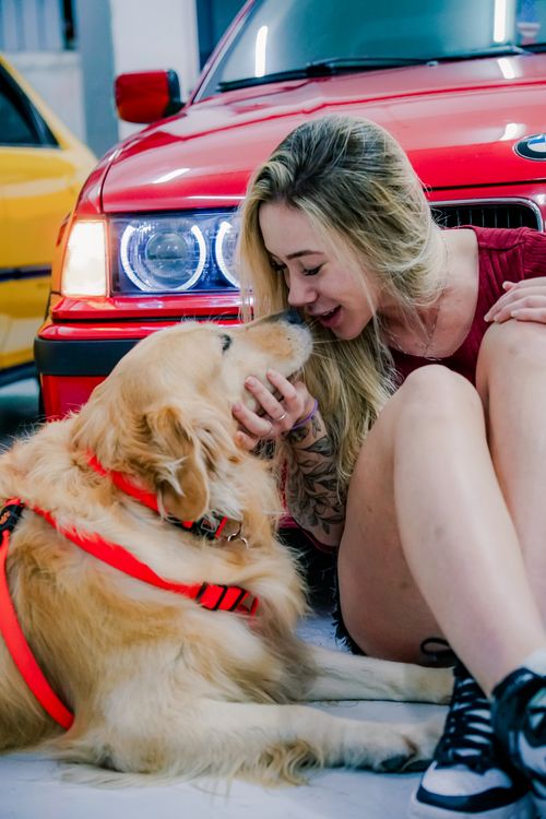 Free A young woman cuddles her golden retriever by a red BMW in an indoor setting. Stock Photo