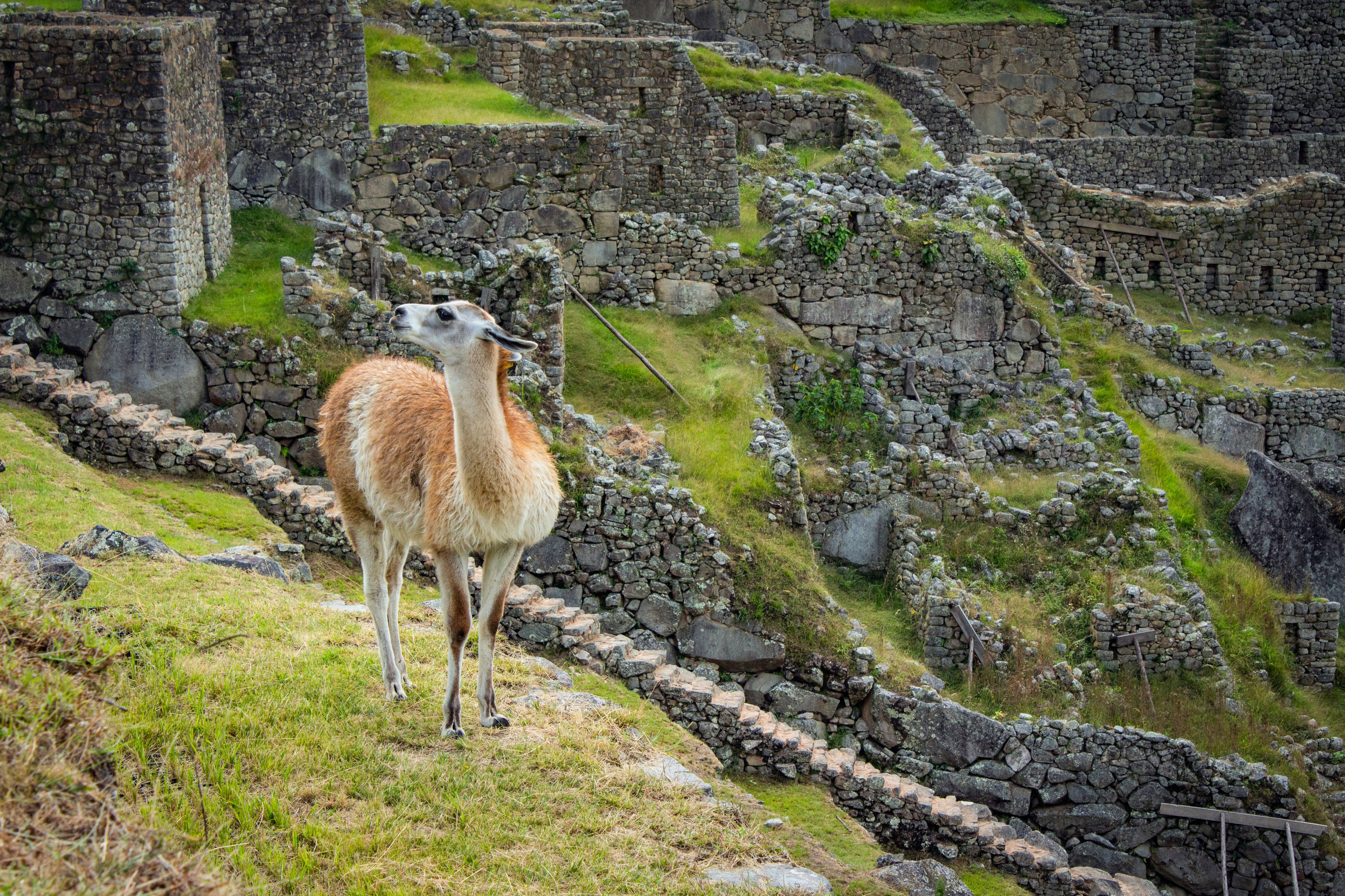 April 2025: Llama 4 and the Open Source Surge