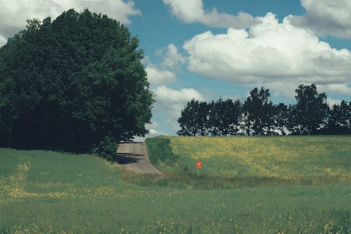 Kostnadsfri bild av asfalt, gräs, landsbygden