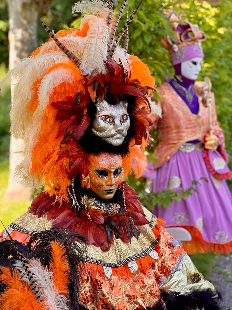 A Person In A Costume And Mask At The Carnival Of Venice 