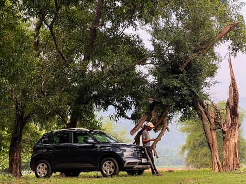 Free A man leaning on an SUV amidst a lush green forest, enjoying the natural surroundings. Stock Photo