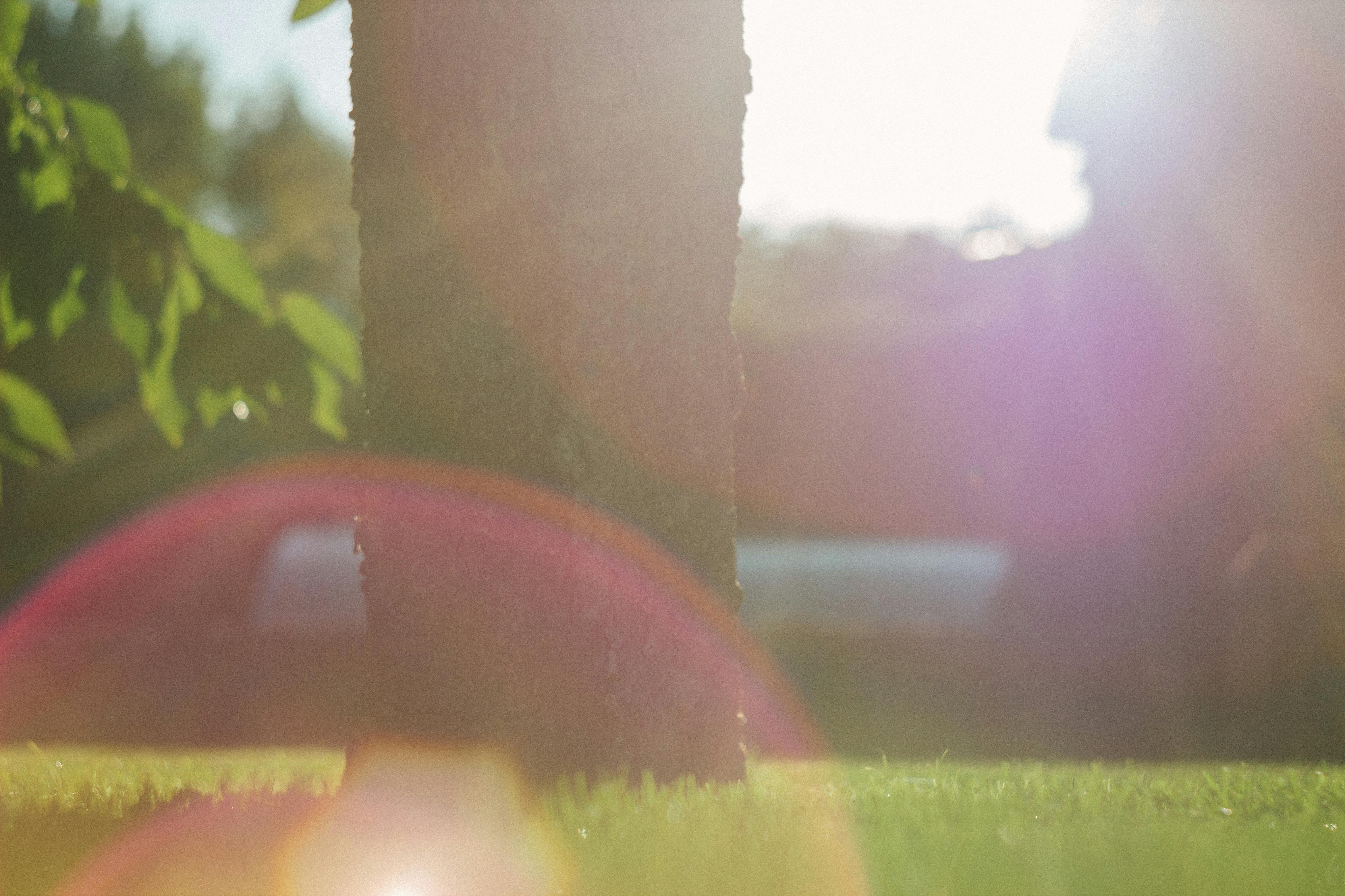 Free Stock Photo Of Glare Grass Low Angle Photography