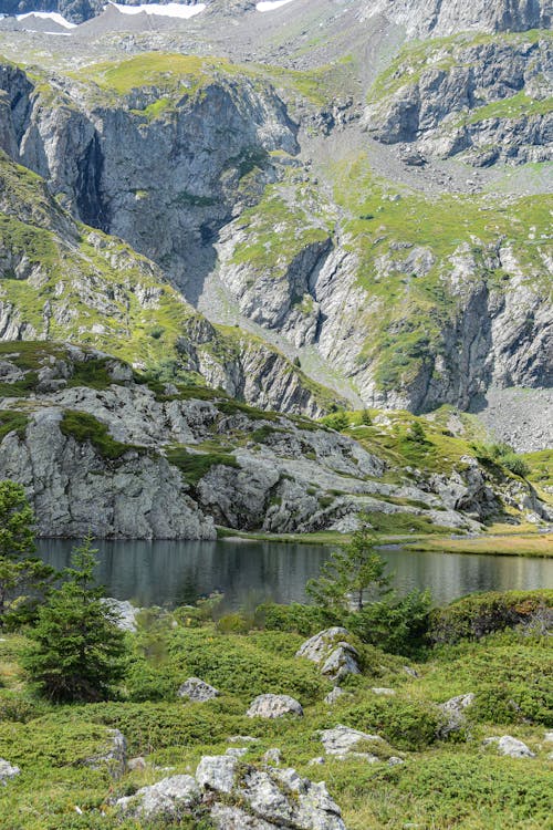 Gratis lagerfoto af bjerge, dal, græs