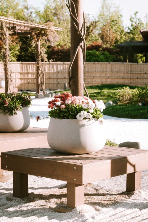Free Beautiful flowerpot with colorful blooms in a sunny garden, showcasing outdoor tranquility. Stock Photo