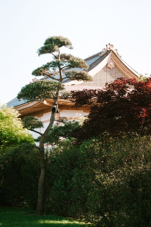 Free Beautiful Japanese-inspired garden with traditional building in sunny Krasnodar. Stock Photo
