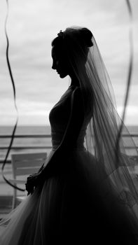 Silhouette of a bride in wedding dress by a window, exuding elegance.