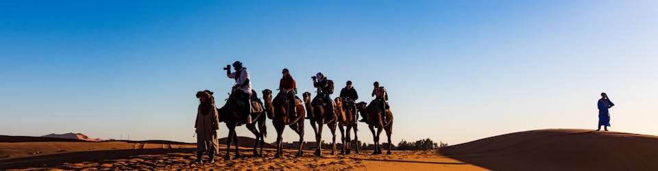 People Riding on Camels