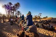 蓝天之下，棕榈树旁，一群人骑着骆驼穿过沙漠绿洲，是旅行与冒险主题的理想画面