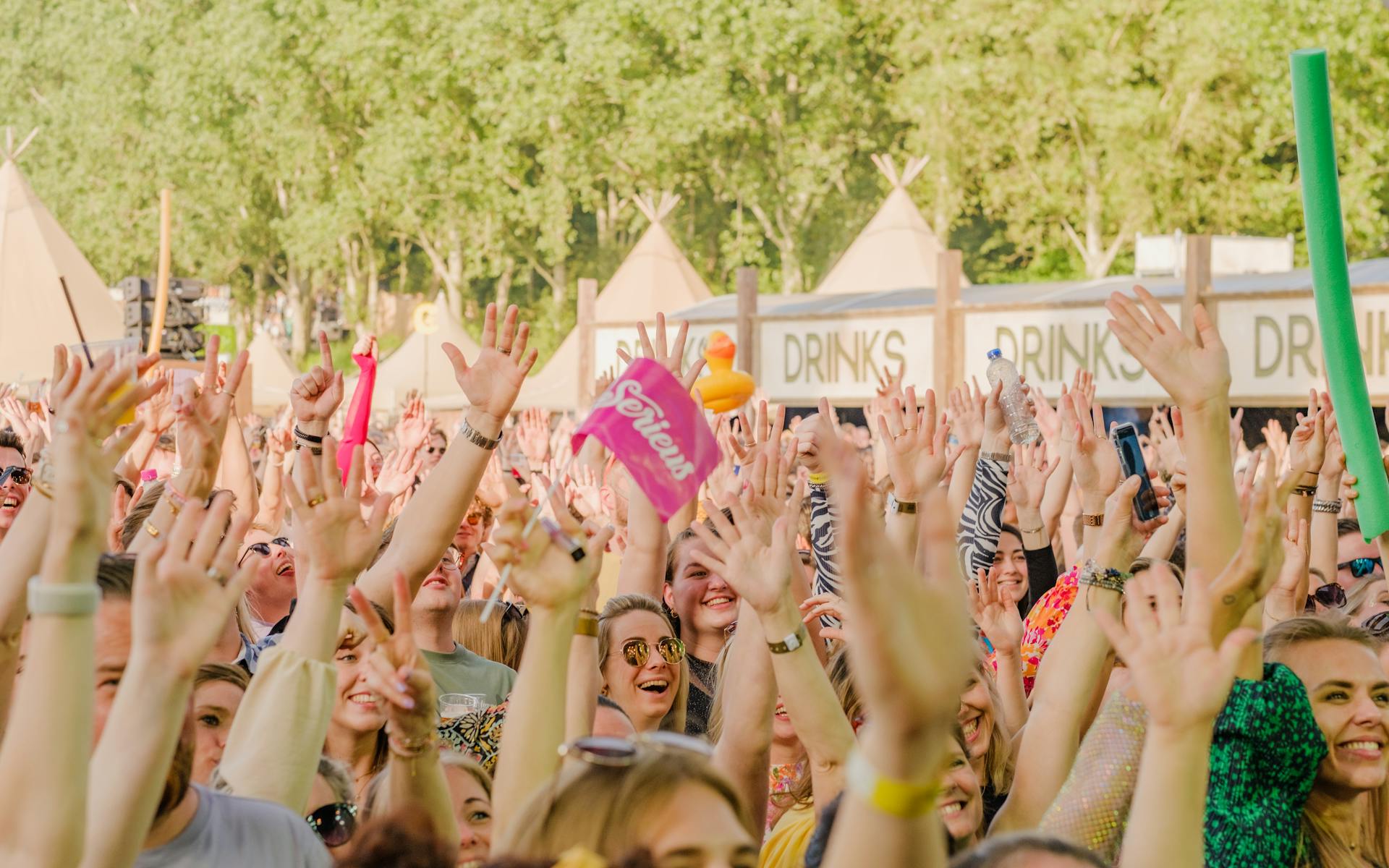 Audience Raising Hands During Concert