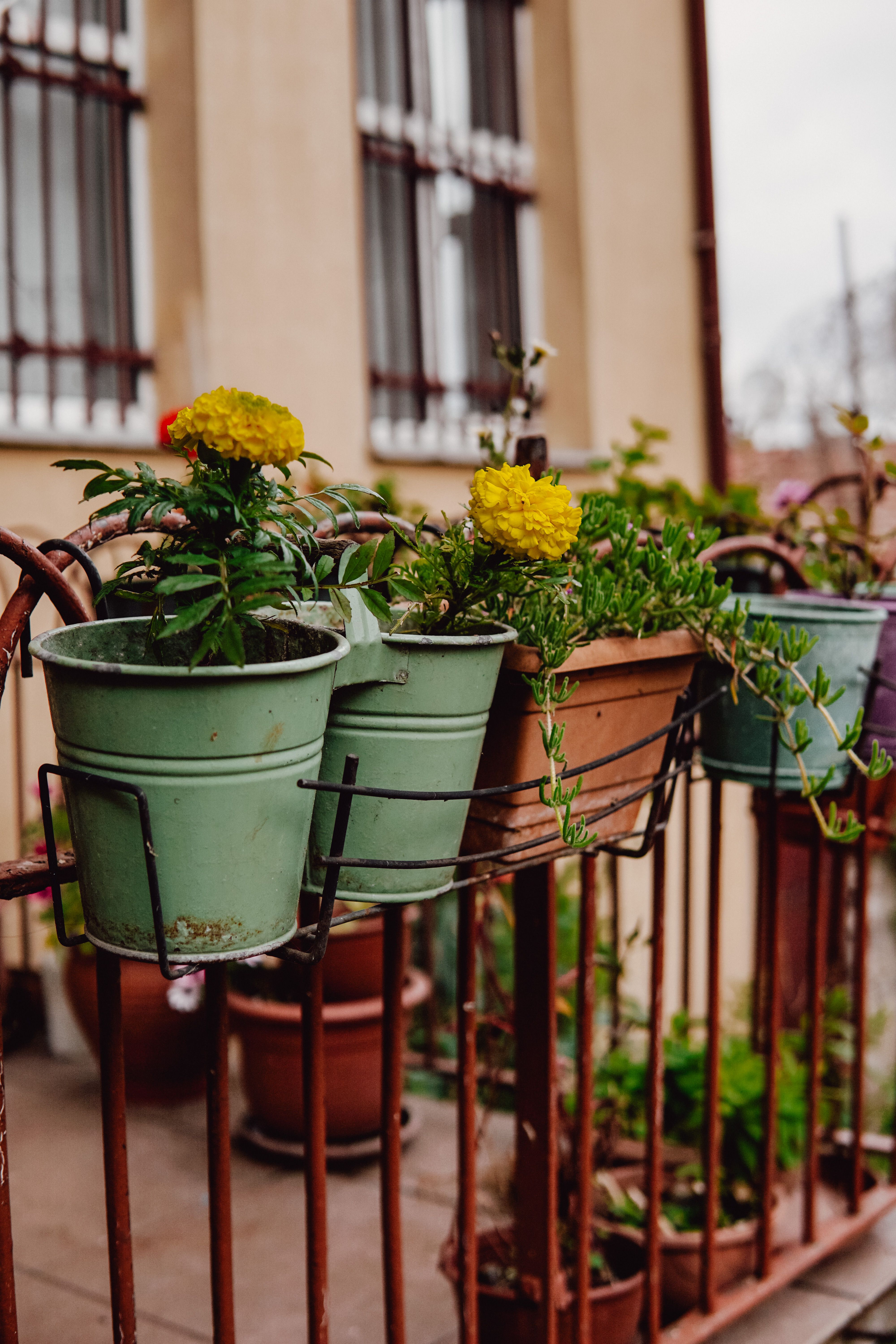 Colorful rail planters with yellow flowers on a small apartment balcony railing