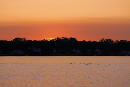 日没, 湖, 自然の無料の写真素材
