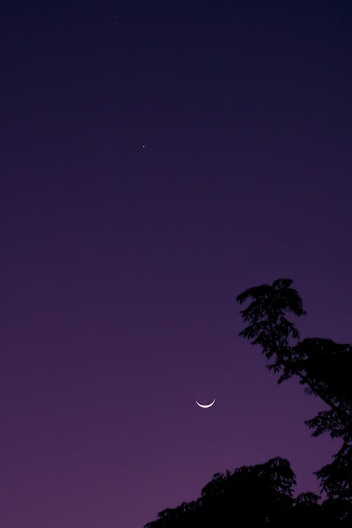 Moon in Night Sky