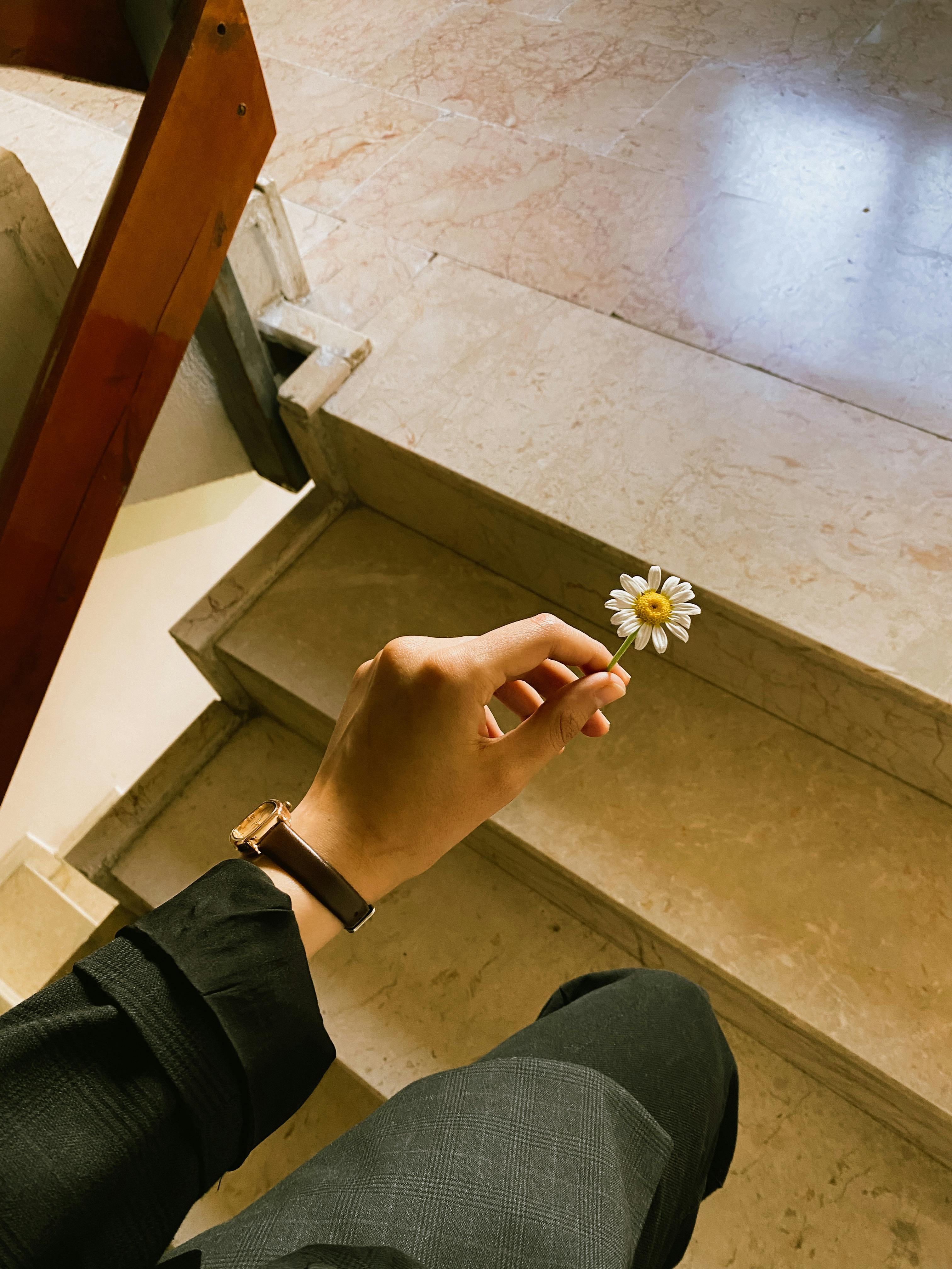 A serene moment capturing a hand holding a daisy on a marble staircase with soft lighting.