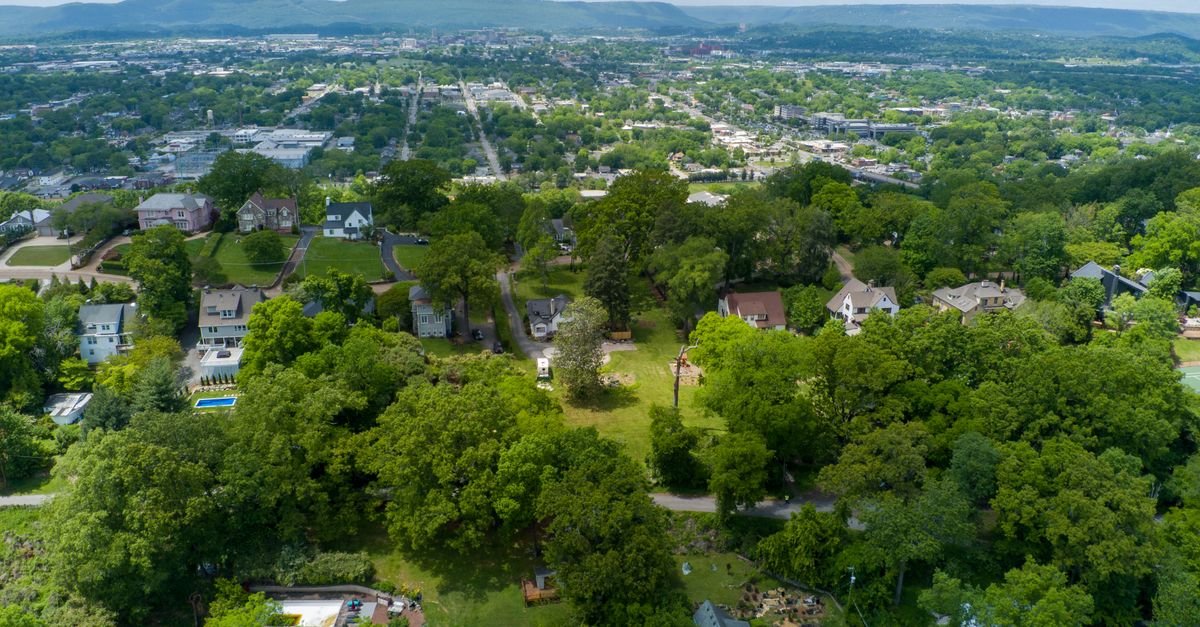 Aerial view showcasing the lush suburban greenery and houses in Houston, TX on a bright summer day.