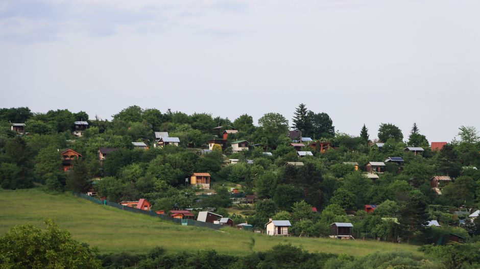 A lush landscape of allotment gardens with cabins in Zvolen, Slovakia on a summer day.