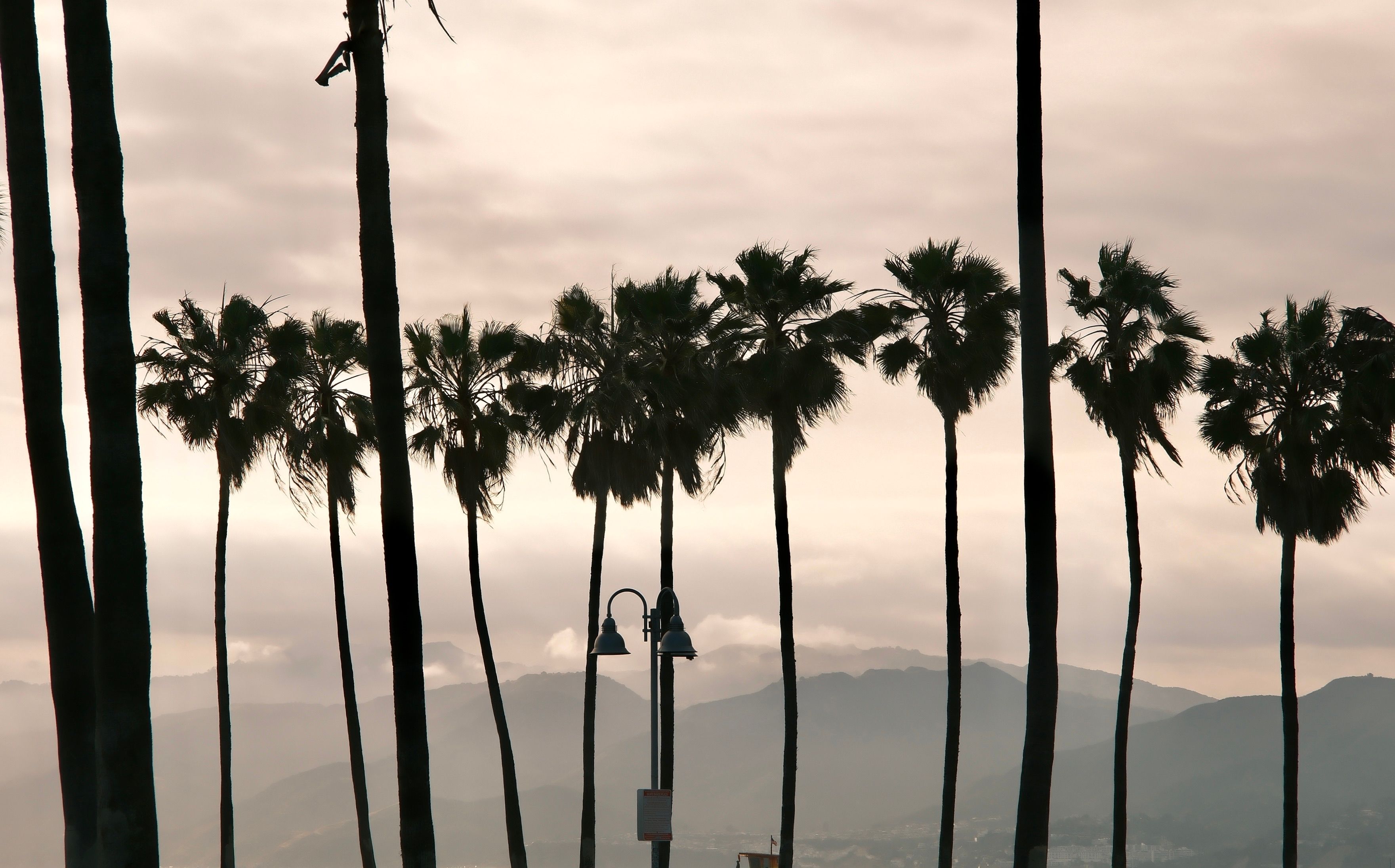 Silhouette of tall palm trees against a scenic mountain view at sunset. - Santa Bárbara