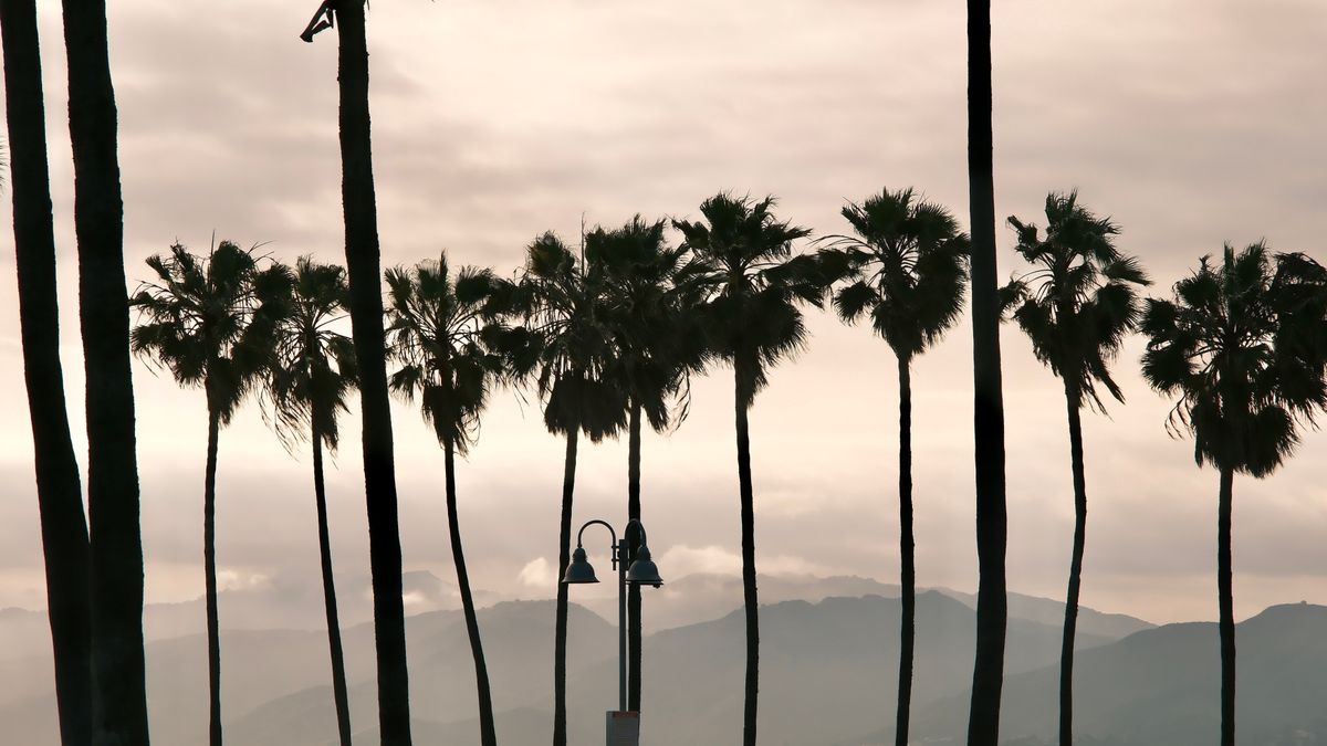 How to Enter Holiday Giveaways in Santa Ana, California Without Scams