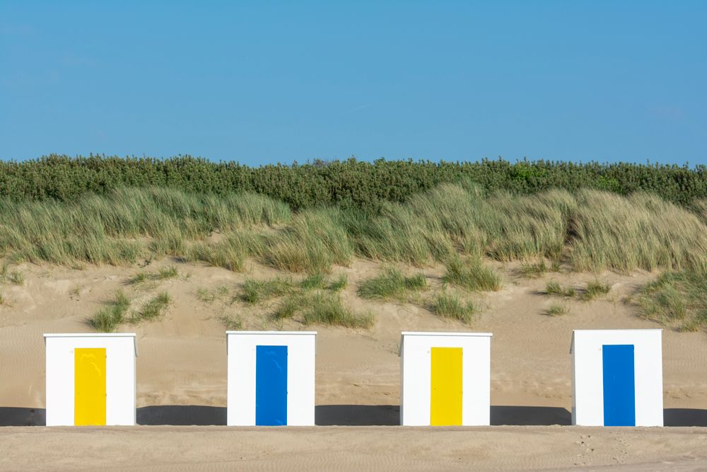 School trip to Cadzand Dutch coast with beach activities and Zwin nature reserve