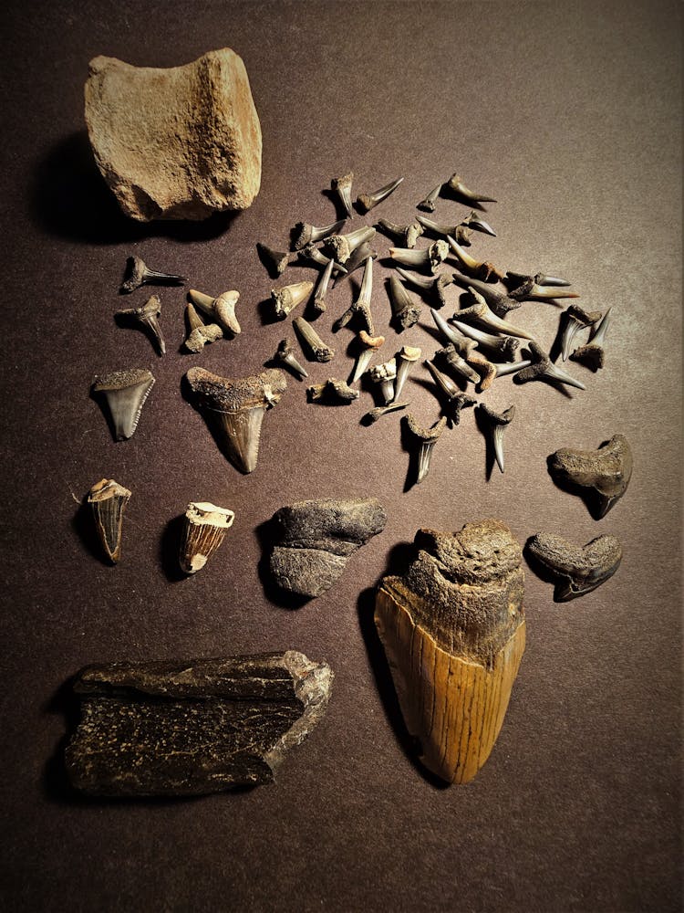 Close Up Of Ancient Tools