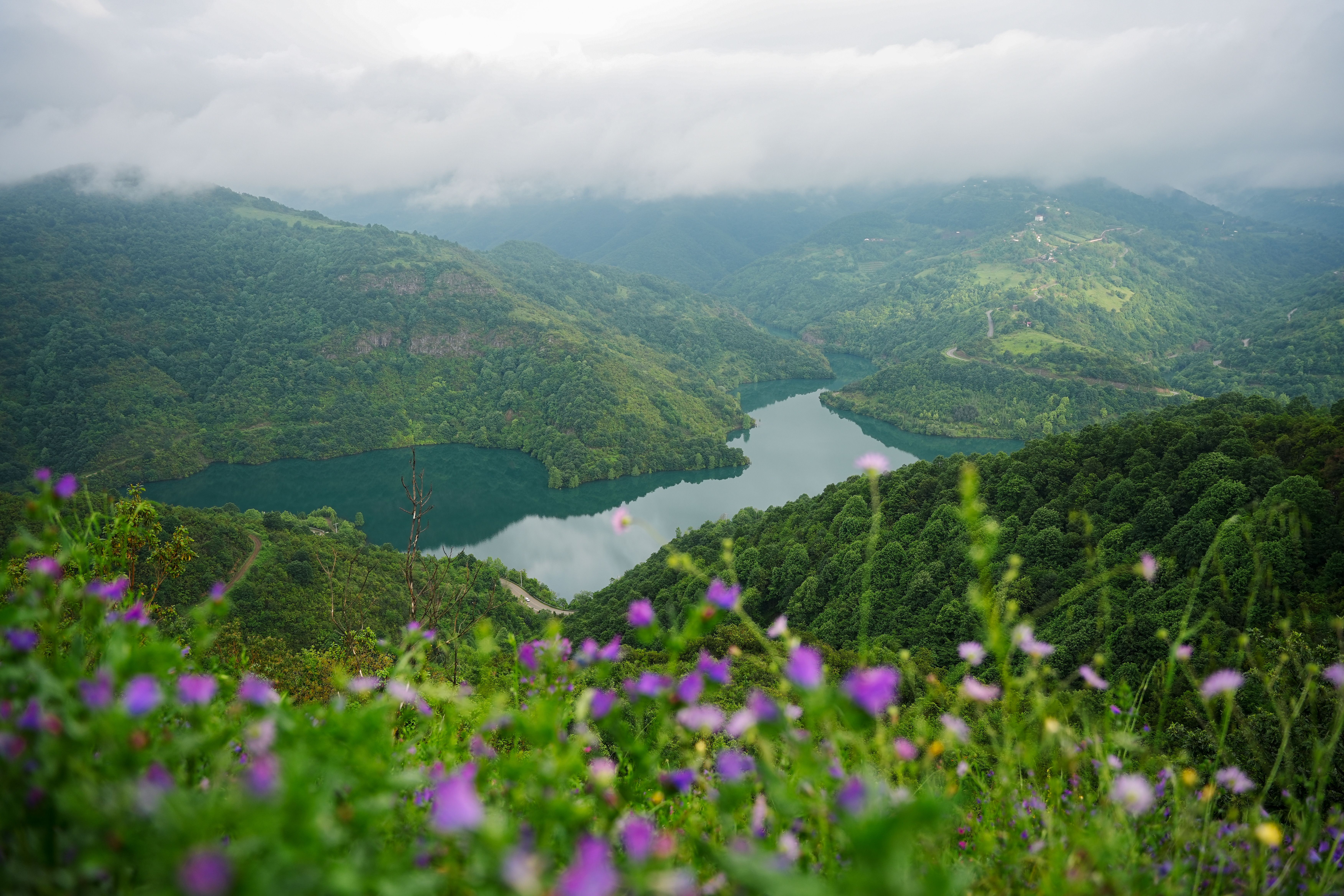 Serene alpine mountain lake surrounded by lush greenery and wildflowers