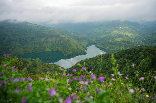 Fotos de stock gratuitas de agua, arboles, cerros