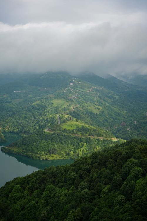 Foto profissional grátis de árvores, cênico, colinas