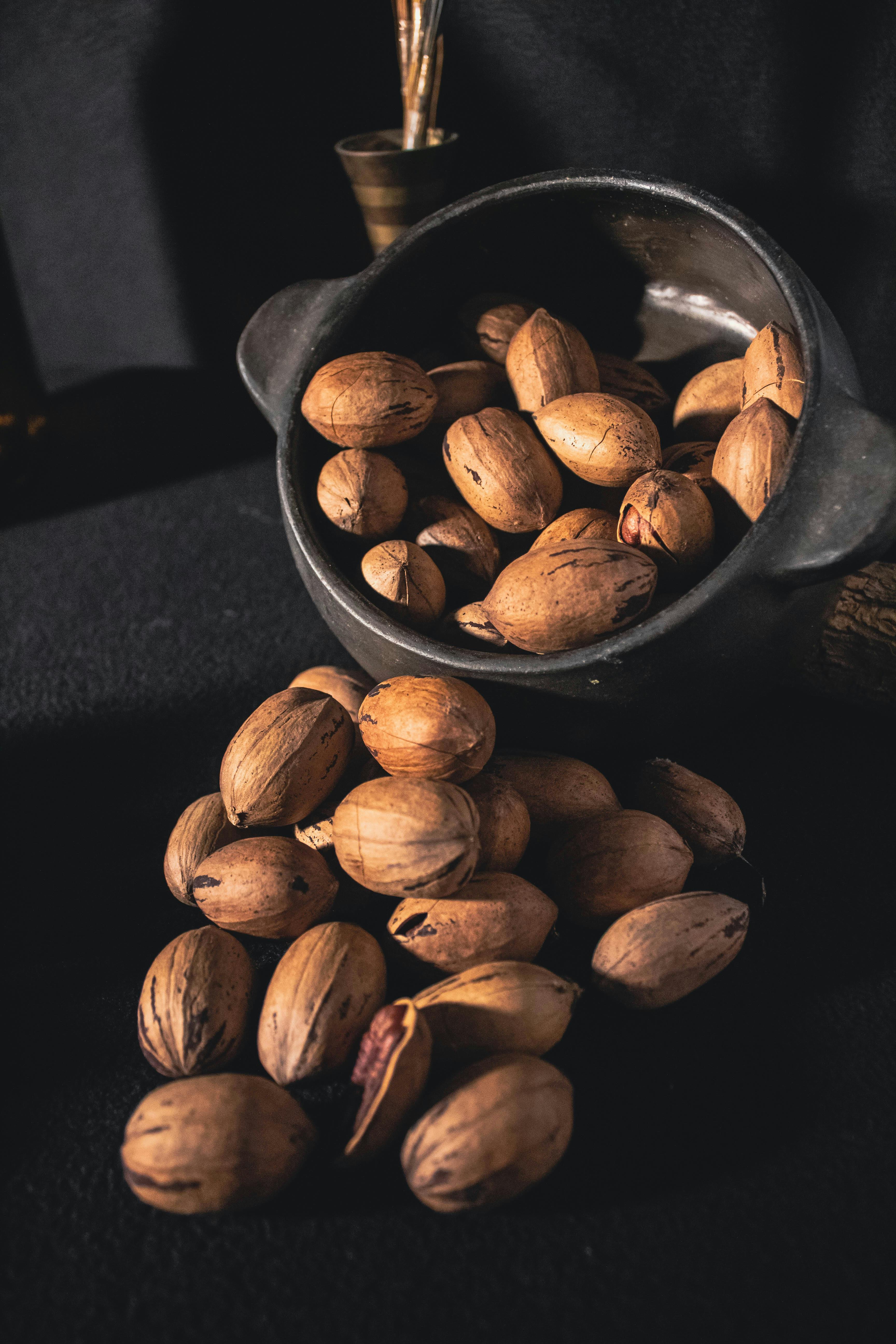 A Bowl of Pecan Nuts in Shells · Free Stock Photo