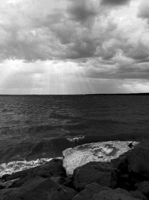 Základová fotografie zdarma na téma černobílý, horizont, moře