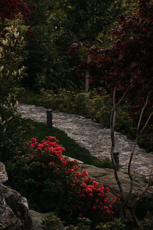 Japanese garden in Russia. Park, flowers, trees