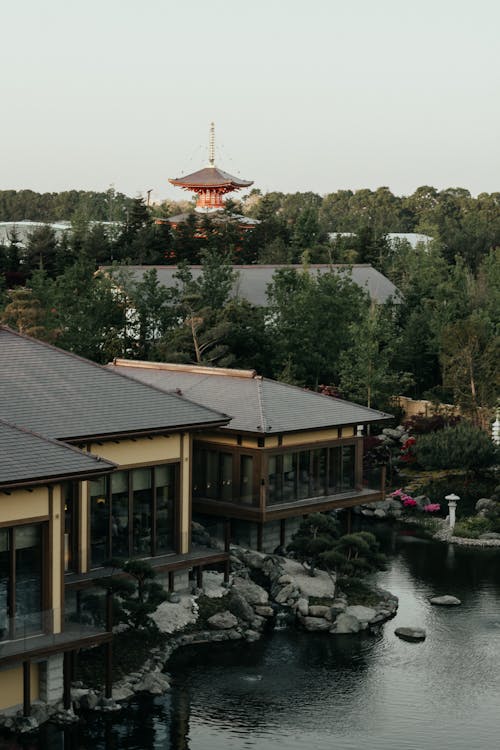 Jardín Japonés En Rusia. Parque, Flores, árboles