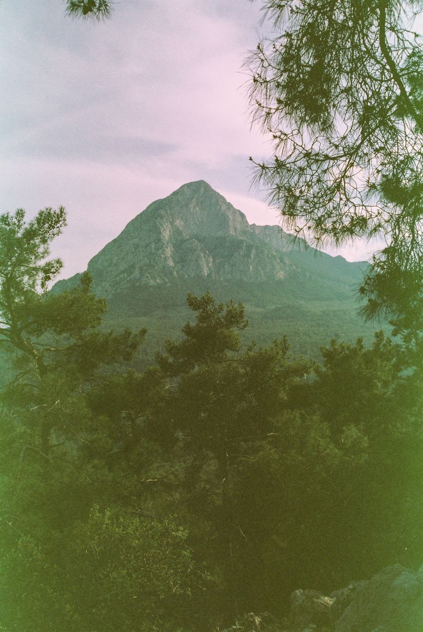 A breathtaking view of a rugged mountain peak framed by lush trees during twilight.