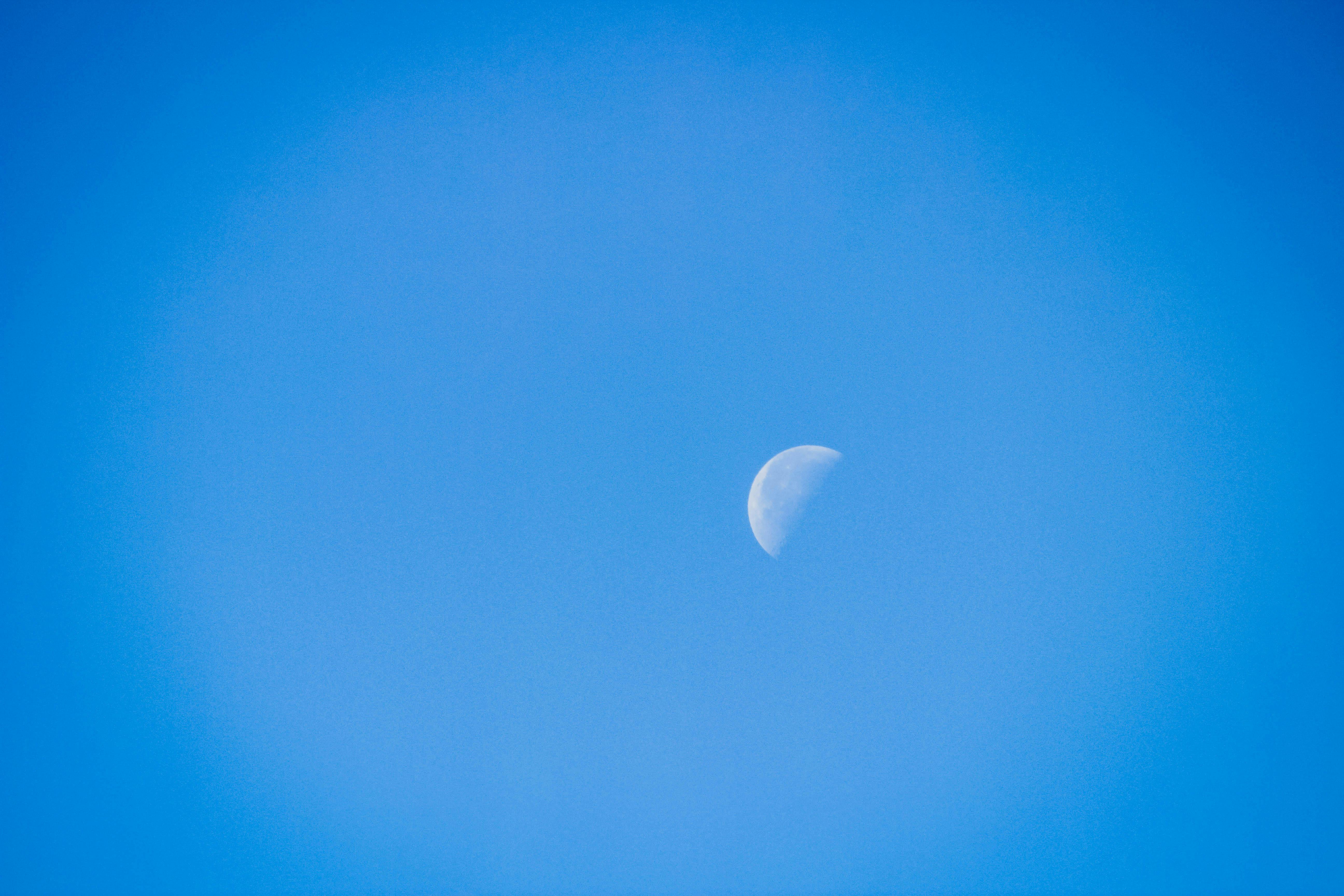 Free stock photo of daylight moon, half moon, moon