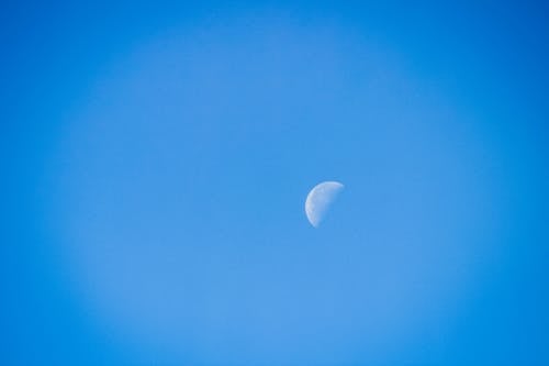 半月, 晨月, 月亮 的 免費圖庫相片