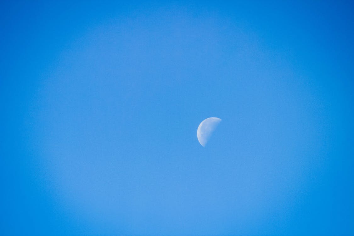 Free stock photo of daylight moon, half moon, moon