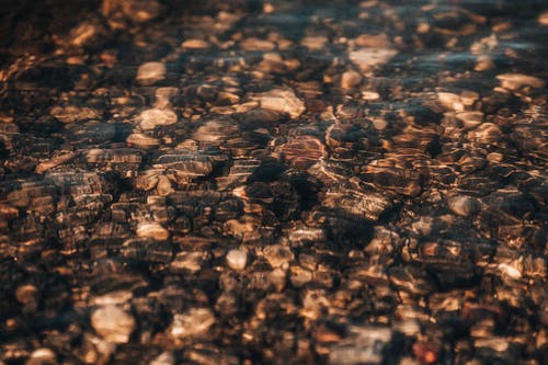 Close-up of Pebbles under Clear Water 